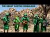 Embedded thumbnail for The Great Cactus Singalong